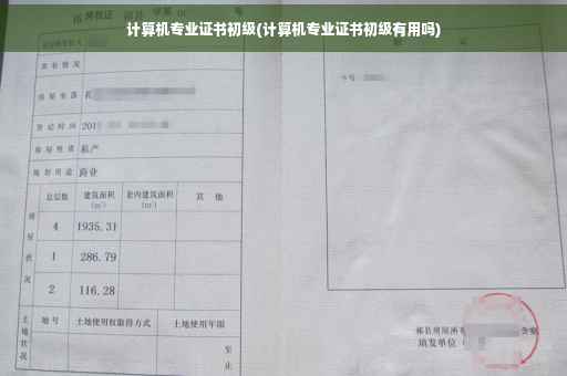 计算机专业证书初级(计算机专业证书初级有用吗)
