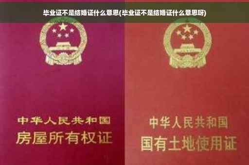 毕业证不是结婚证什么意思(毕业证不是结婚证什么意思呀)