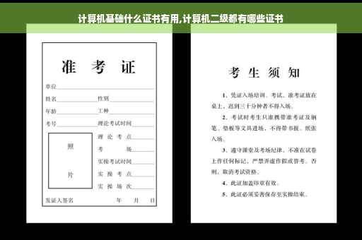 计算机基础什么证书有用,计算机二级都有哪些证书