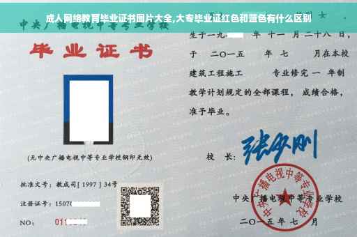 成人网络教育毕业证书图片大全,大专毕业证红色和蓝色有什么区别