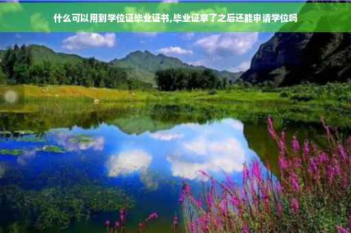 什么可以用到学位证毕业证书,毕业证拿了之后还能申请学位吗