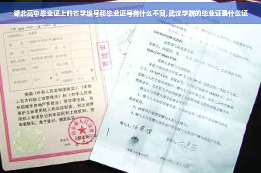 湖北高中毕业证上的省学编号和毕业证号有什么不同,武汉学院的毕业证是什么证