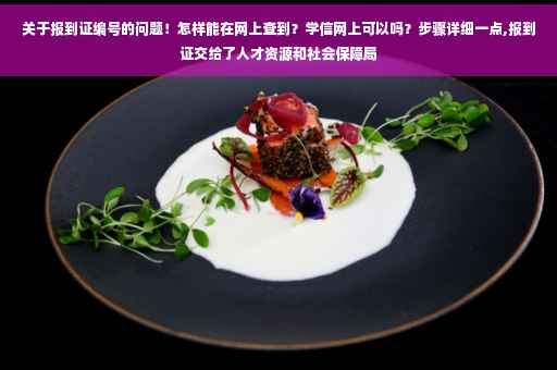 关于报到证编号的问题！怎样能在网上查到？学信网上可以吗？步骤详细一点,报到证交给了人才资源和社会保障局