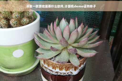 开发一款游戏需要什么软件,计算机demo证书样子