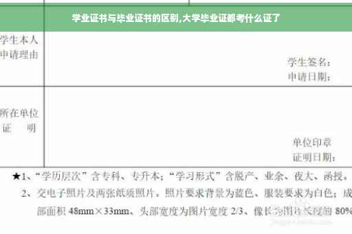 学业证书与毕业证书的区别,大学毕业证都考什么证了