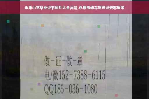 永康小学毕业证书图片大全高清,永康电动车驾驶证去哪里考