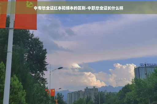 中专毕业证红本和绿本的区别-中职毕业证长什么样