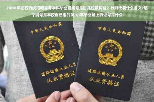 2000年左右的统招和自考本科毕业证编号是由几位数构成？分别代表什么含义?这个编号是学校自已编的吗,小学毕业证上的证号是什么