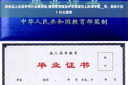 毕业证上毕证字号什么意思啊,陕西省洋县高中毕业证书上的毕字第__号，是多少位？什么意思
