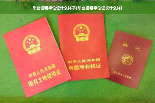 毕业证和学位证什么样子(毕业证和学位证长什么样)