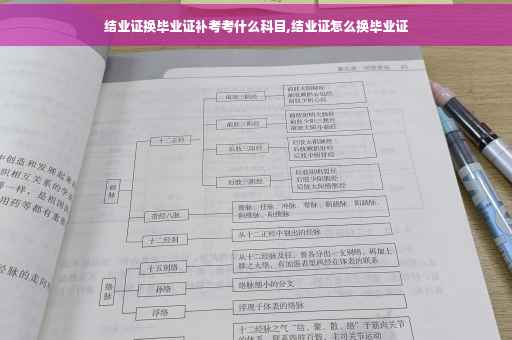 结业证换毕业证补考考什么科目,结业证怎么换毕业证