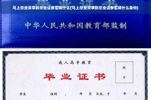 马上毕业没拿到毕业证参军填什么(马上毕业没拿到毕业证参军填什么身份)