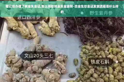 我已经办理了就业失业证,怎么领取就业失业金啊-毕业生毕业证发放流程是什么样的
