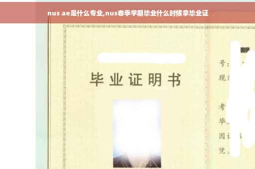 nus ae是什么专业,nus春季学期毕业什么时候拿毕业证