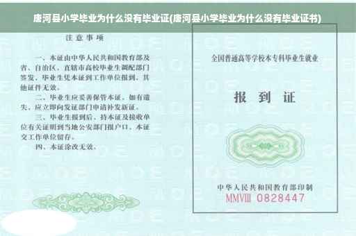 唐河县小学毕业为什么没有毕业证(唐河县小学毕业为什么没有毕业证书)