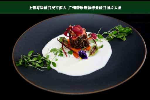 上音考级证书尺寸多大-广州音乐老师毕业证书图片大全