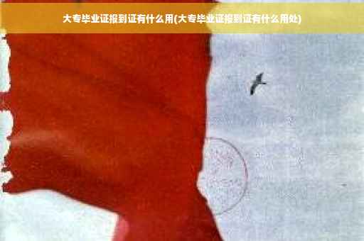 大专毕业证报到证有什么用(大专毕业证报到证有什么用处)