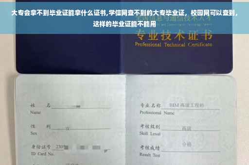 大专会拿不到毕业证能拿什么证书,学信网查不到的大专毕业证，校园网可以查到，这样的毕业证能不能用
