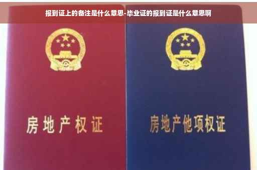 报到证上的备注是什么意思-毕业证的报到证是什么意思啊