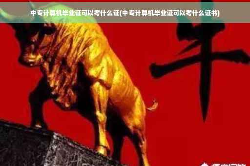 中专计算机毕业证可以考什么证(中专计算机毕业证可以考什么证书)