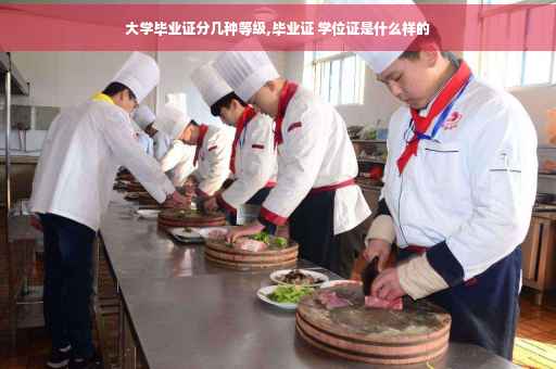 大学毕业证分几种等级,毕业证 学位证是什么样的