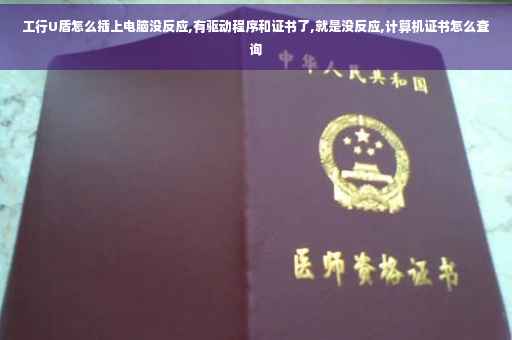 工行U盾怎么插上电脑没反应,有驱动程序和证书了,就是没反应,计算机证书怎么查询