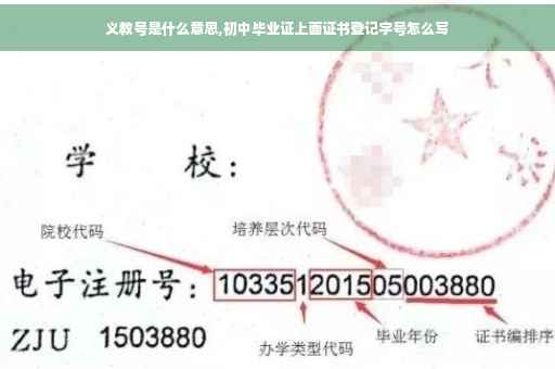 义教号是什么意思,初中毕业证上面证书登记字号怎么写