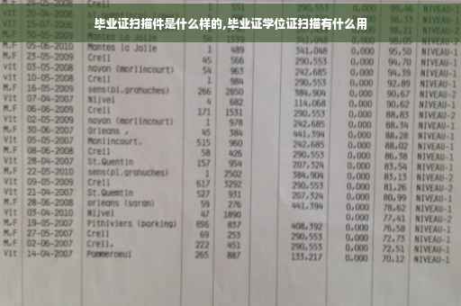 毕业证扫描件是什么样的,毕业证学位证扫描有什么用