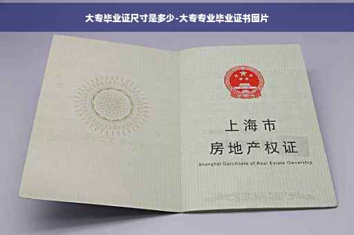 大专毕业证尺寸是多少-大专专业毕业证书图片