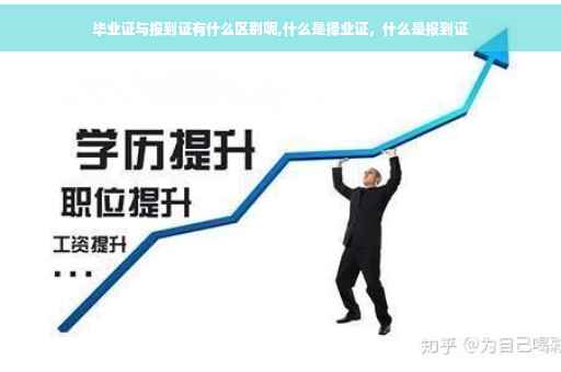 毕业证与报到证有什么区别呢,什么是择业证，什么是报到证