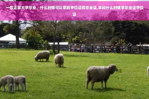 一般正常大学毕业，什么时候可以拿到学位证和毕业证,本科什么时候拿毕业证学位证
