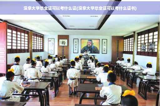 没拿大学毕业证可以考什么证(没拿大学毕业证可以考什么证书)