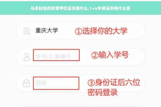 与本科生的同等学位证书是什么,1+x中级证书有什么用
