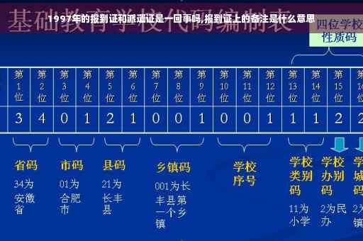 1997年的报到证和派遣证是一回事吗,报到证上的备注是什么意思