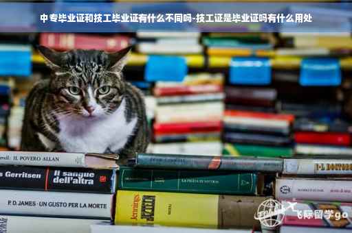 中专毕业证和技工毕业证有什么不同吗-技工证是毕业证吗有什么用处