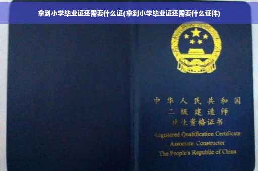拿到小学毕业证还需要什么证(拿到小学毕业证还需要什么证件)