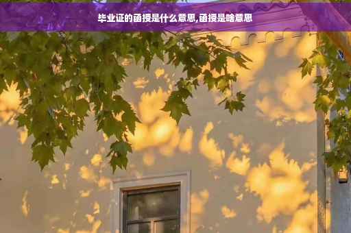 毕业证的函授是什么意思,函授是啥意思