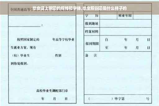毕业证上钢印的规格和字体,毕业照钢印是什么样子的