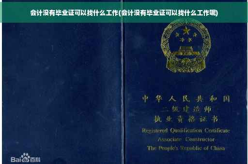 会计没有毕业证可以找什么工作(会计没有毕业证可以找什么工作呢)