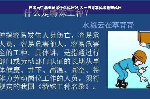自考高中毕业证考什么科目好,大一自考本科考哪些科目