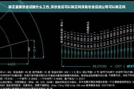 转正需要毕业证做什么工作,没毕业证可以转正吗没有毕业证进公司可以转正吗