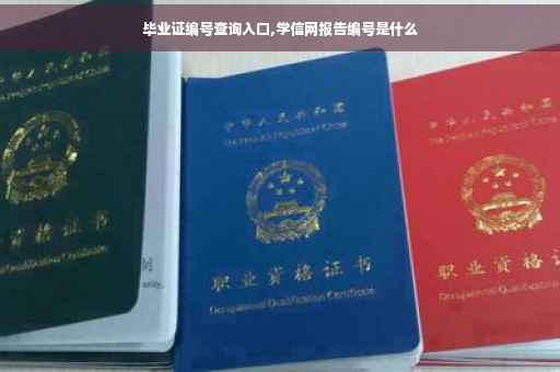 毕业证编号查询入口,学信网报告编号是什么