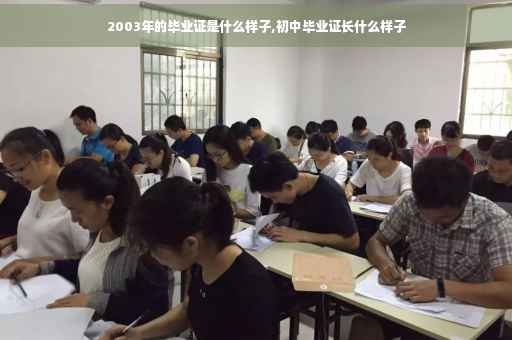 2003年的毕业证是什么样子,初中毕业证长什么样子