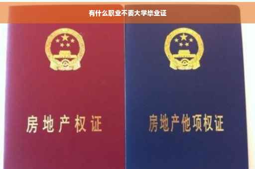 有什么职业不要大学毕业证