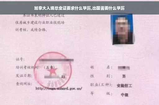 加拿大入境毕业证要求什么学历,出国需要什么学历