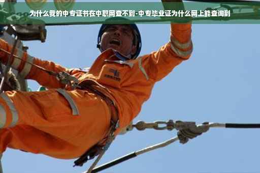 为什么我的中专证书在中职网查不到-中专毕业证为什么网上能查询到