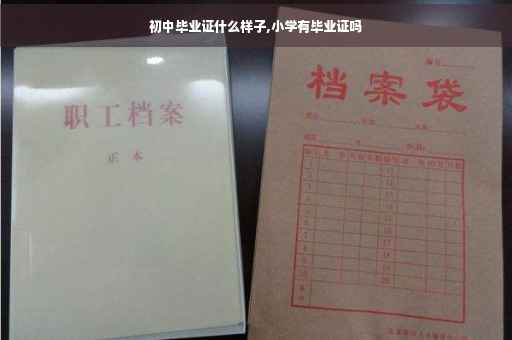 初中毕业证什么样子,小学有毕业证吗