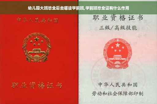 幼儿园大班毕业后去哪读学前班,学前班毕业证有什么作用