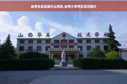 自考毕业证是什么样的,自考大专学历证书图片