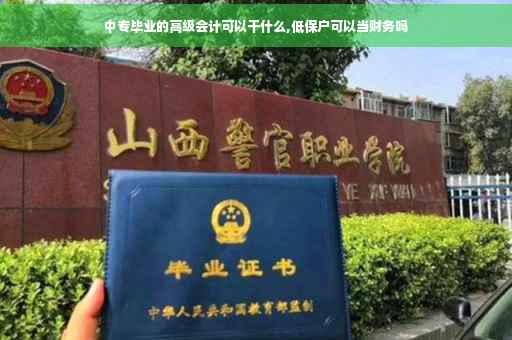 中专毕业的高级会计可以干什么,低保户可以当财务吗